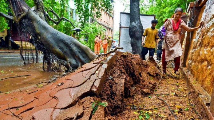 ശക്തമായ കാറ്റ് : ഒരാഴ്ച കൊണ്ട് സംസ്ഥാനത്ത് കടപുഴകി വീണത് രണ്ടായിരത്തിലേറെ മരങ്ങൾ ശക്തമായ കാറ്റ് : ഒരാഴ്ച കൊണ്ട് സംസ്ഥാനത്ത് കടപുഴകി വീണത് രണ്ടായിരത്തിലേറെ മരങ്ങൾ