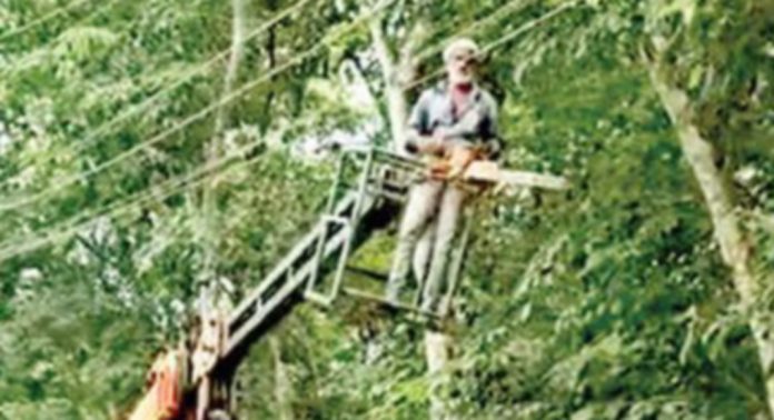 മരങ്ങള് വീണുള്ള വൈദ്യുതി മുടക്കം ; പരിഹാരം കാണാൻ കെഎസ്ഇബി മരങ്ങള് വീണുള്ള വൈദ്യുതി മുടക്കം ; പരിഹാരം കാണാൻ കെഎസ്ഇബി