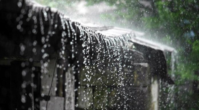 സംസ്ഥാനത്ത് ഒറ്റപ്പെട്ട മഴയ്ക്ക് സാധ്യത സംസ്ഥാനത്ത് ഒറ്റപ്പെട്ട മഴയ്ക്ക് സാധ്യത