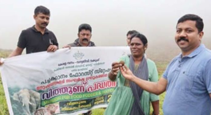 പെരിയാർ ടൈഗർ റിസർവിലെ പച്ചക്കാനം ഫോറസ്റ്റ് സ്റ്റേഷനതിർത്തിയിലെ വനങ്ങളിൽ വനംവകുപ്പ് വിത്തുണ്ട നിക്ഷേപം നടത്തി പെരിയാർ ടൈഗർ റിസർവിലെ പച്ചക്കാനം ഫോറസ്റ്റ് സ്റ്റേഷനതിർത്തിയിലെ വനങ്ങളിൽ വനംവകുപ്പ് വിത്തുണ്ട നിക്ഷേപം നടത്തി