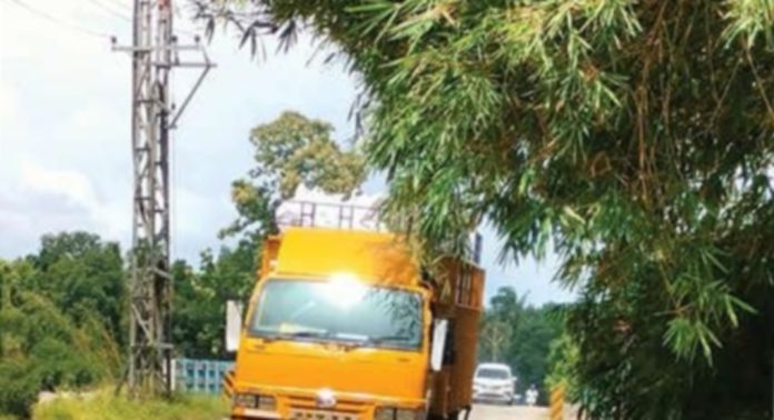 ആഞ്ഞിലിമൂട്ടിൽ കടവ് പാലത്തിന്റെ കോയിപ്രം ഭാഗത്തുള്ള മുളംചില്ലകൾ വാഹനങ്ങൾക്ക് ഭീഷണിയാകുന്നു ആഞ്ഞിലിമൂട്ടിൽ കടവ് പാലത്തിന്റെ കോയിപ്രം ഭാഗത്തുള്ള മുളംചില്ലകൾ വാഹനങ്ങൾക്ക് ഭീഷണിയാകുന്നു