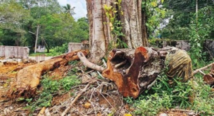 അടൂർ വടക്കടത്തുകാവിലെ ഗാന്ധിജിയുടെ പ്രതിമ തകര്ന്നിട്ട് ഒരു വർഷം അടൂർ വടക്കടത്തുകാവിലെ ഗാന്ധിജിയുടെ പ്രതിമ തകര്ന്നിട്ട് ഒരു വർഷം