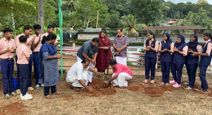 ചുങ്കപ്പാറ സെന്റ് ജോർജ്സ് ഹൈസ്കൂളിൽ വൃക്ഷതൈകൾ നട്ടു ചുങ്കപ്പാറ സെന്റ് ജോർജ്സ് ഹൈസ്കൂളിൽ വൃക്ഷതൈകൾ നട്ടു