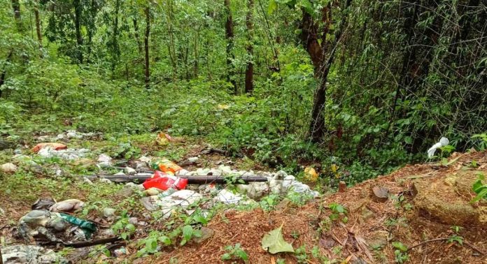 റാന്നി കരികുളം വനമേഖലയിൽ മാലിന്യം കുന്നുകൂടുന്നു റാന്നി കരികുളം വനമേഖലയിൽ മാലിന്യം കുന്നുകൂടുന്നു