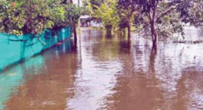 വീടുകൾക്കു മുന്നിൽ വെള്ളക്കെട്ട് ; 15 ക്യാമ്പുകളിലായി 137 കുടുംബങ്ങള് വീടുകൾക്കു മുന്നിൽ വെള്ളക്കെട്ട് ; 15 ക്യാമ്പുകളിലായി 137 കുടുംബങ്ങള്