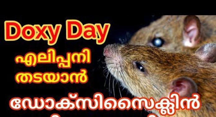 എലിപ്പനി പ്രതിരോധ ഗുളിക കഴിച്ച് തൊഴിലുറപ്പ് തൊഴിലാളികൾ ഛർദിച്ച് മയങ്ങി വീണു എലിപ്പനി പ്രതിരോധ ഗുളിക കഴിച്ച് തൊഴിലുറപ്പ് തൊഴിലാളികൾ ഛർദിച്ച് മയങ്ങി വീണു