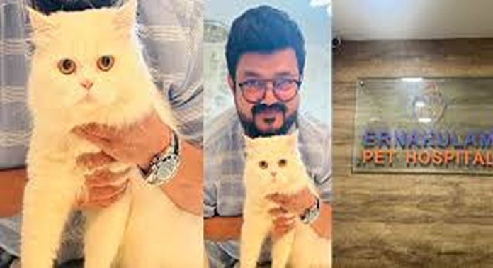 കുളിപ്പിക്കാൻ നൽകിയ പൂച്ചയെ കൊന്നു : എറണാകുളം പെറ്റ് ഷോപ്പിനെതിരെ പരാതിയുമായി സംവിധായകൻ നാദിർഷ കുളിപ്പിക്കാൻ നൽകിയ പൂച്ചയെ കൊന്നു : എറണാകുളം പെറ്റ് ഷോപ്പിനെതിരെ പരാതിയുമായി സംവിധായകൻ നാദിർഷ
