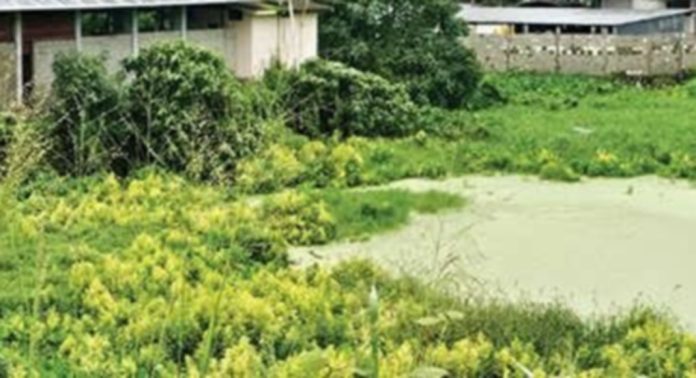 അഴുക്കുവെള്ളം ഒഴുകാൻ സംവിധാനമില്ല ; ഏനാത്ത് ടൗണിൽ വെള്ളക്കെട്ട് അഴുക്കുവെള്ളം ഒഴുകാൻ സംവിധാനമില്ല ; ഏനാത്ത് ടൗണിൽ വെള്ളക്കെട്ട്