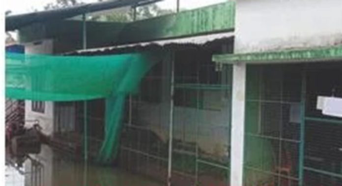 മഴക്കാലപൂർവ ശുചീകരണം പാളി ; വെള്ളക്കെട്ട് ഒഴിയാതെ അപ്പർകുട്ടനാട് മഴക്കാലപൂർവ ശുചീകരണം പാളി ; വെള്ളക്കെട്ട് ഒഴിയാതെ അപ്പർകുട്ടനാട്