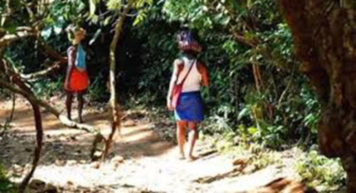 തിരുവാഭരണപാത കൈയ്യേറ്റം ; സ്ഥലം നഷ്ടപ്പെട്ടതിനെതിരേ തിരുവാഭരണപാത സംരക്ഷണസമിതി വീണ്ടും ജില്ലാ കളക്ടർക്ക് പരാതി നൽകി തിരുവാഭരണപാത കൈയ്യേറ്റം ; സ്ഥലം നഷ്ടപ്പെട്ടതിനെതിരേ തിരുവാഭരണപാത സംരക്ഷണസമിതി വീണ്ടും ജില്ലാ കളക്ടർക്ക് പരാതി നൽകി