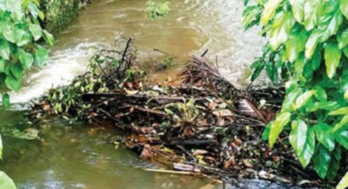 ചെളിയും മാലിന്യവും നിറഞ്ഞ് കൊടുമൺ വലിയതോട് ചെളിയും മാലിന്യവും നിറഞ്ഞ് കൊടുമൺ വലിയതോട്