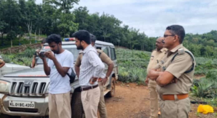 കുളത്തുമണ്ണിൽ കാട്ടാനയെ തുരത്തുന്നതിന് വനം വകുപ്പ് ശ്രമം ആരംഭിച്ചു കുളത്തുമണ്ണിൽ കാട്ടാനയെ തുരത്തുന്നതിന് വനം വകുപ്പ് ശ്രമം ആരംഭിച്ചു