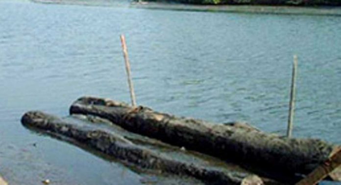പുഴയിലൂടെ ഒഴുകിയെത്തുന്ന മരത്തടിക്ക് ആർക്കാണ് അവകാശം? പുഴയിലൂടെ ഒഴുകിയെത്തുന്ന മരത്തടിക്ക് ആർക്കാണ് അവകാശം?