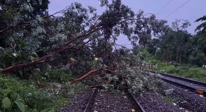 ചെങ്ങന്നൂരിനും മാവേലിക്കരക്കും ഇടയില് ട്രാക്കില് മരം വീണതിനെ തുടര്ന്ന് മധ്യകേരളത്തില് ട്രെയിനുകള് വൈകിയോടുന്നു ചെങ്ങന്നൂരിനും മാവേലിക്കരക്കും ഇടയില് ട്രാക്കില് മരം വീണതിനെ തുടര്ന്ന് മധ്യകേരളത്തില് ട്രെയിനുകള് വൈകിയോടുന്നു