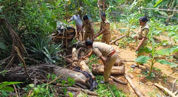 മഴക്കാലത്ത് കർമ്മ നിരതരായി കോന്നി റാപിഡ് റെസ്പോൺസ് സംഘം മഴക്കാലത്ത് കർമ്മ നിരതരായി കോന്നി റാപിഡ് റെസ്പോൺസ് സംഘം