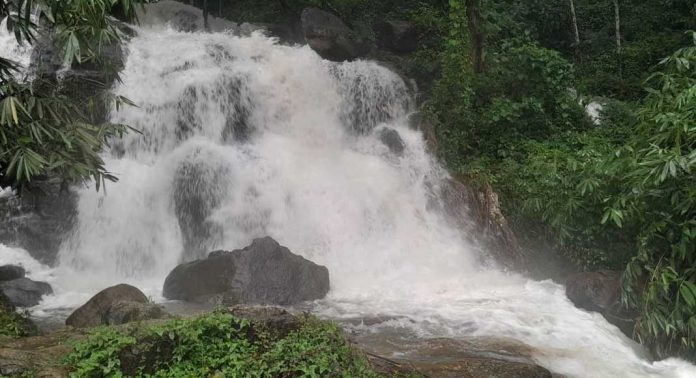 മഴയിൽ സമൃദ്ധമായി കോന്നിയിലെ വെള്ളച്ചാട്ടങ്ങൾ മഴയിൽ സമൃദ്ധമായി കോന്നിയിലെ വെള്ളച്ചാട്ടങ്ങൾ