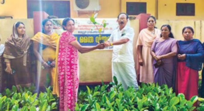 ഓമല്ലൂര് ചക്കഗ്രാമം പദ്ധതി ; പ്ലാവിൻ തൈകളുടെ വിതരണോദ്ഘാടനം നടന്നു ഓമല്ലൂര് ചക്കഗ്രാമം പദ്ധതി ; പ്ലാവിൻ തൈകളുടെ വിതരണോദ്ഘാടനം നടന്നു