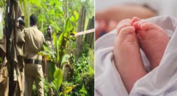 പത്തനംതിട്ട മെഴുവേലിയിലെ നവജാതശിശുവിന്റെ മരണം ; സമഗ്ര അന്വേഷണം നിര്ദ്ദേശിച്ച് മുഖ്യമന്ത്രിയുടെ ഓഫീസ് പത്തനംതിട്ട മെഴുവേലിയിലെ നവജാതശിശുവിന്റെ മരണം ; സമഗ്ര അന്വേഷണം നിര്ദ്ദേശിച്ച് മുഖ്യമന്ത്രിയുടെ ഓഫീസ്