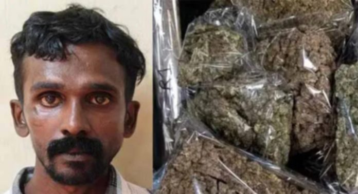 അടൂരില് പോലീസിന്റെ വന് കഞ്ചാവുവേട്ട : മൂന്നേമുക്കാല് കിലോ കഞ്ചാവുമായി യുവാവ് പിടിയില് അടൂരില് പോലീസിന്റെ വന് കഞ്ചാവുവേട്ട : മൂന്നേമുക്കാല് കിലോ കഞ്ചാവുമായി യുവാവ് പിടിയില്