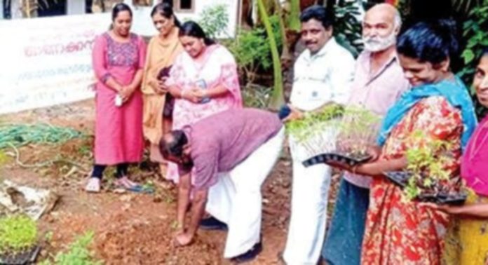 ഓണക്കനി പദ്ധതി പുതുശ്ശേരിമലയിൽ തൈ നട്ട് ഉദ്ഘാടനം ചെയ്തു ഓണക്കനി പദ്ധതി പുതുശ്ശേരിമലയിൽ തൈ നട്ട് ഉദ്ഘാടനം ചെയ്തു
