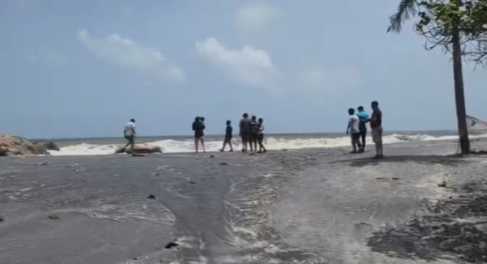 പുന്നപ്ര തീരത്ത് വീണ്ടും ഡോൾഫിന്റെ ജഡം അടിഞ്ഞു പുന്നപ്ര തീരത്ത് വീണ്ടും ഡോൾഫിന്റെ ജഡം അടിഞ്ഞു