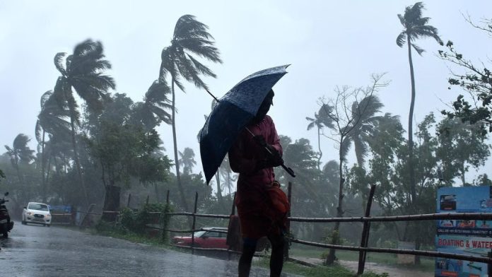ശക്തമായ മഴ തുടരുന്നു ; വയനാട് ജില്ലയിൽ റെഡ് അലർട്ട്, വിദ്യാഭ്യാസ സ്ഥാപനങ്ങൾക്ക് അവധി പ്രഖ്യാപിച്ച് കളക്ടർ ശക്തമായ മഴ തുടരുന്നു ; വയനാട് ജില്ലയിൽ റെഡ് അലർട്ട്, വിദ്യാഭ്യാസ സ്ഥാപനങ്ങൾക്ക് അവധി പ്രഖ്യാപിച്ച് കളക്ടർ