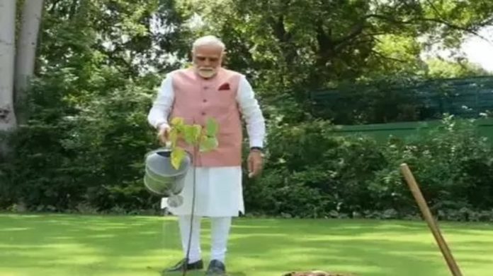 പരിസ്ഥിതി ദിനാചരണത്തിന്റെ ഭാഗമായി ഔദ്യോഗിക വസതിയില് സിന്ദൂര വൃക്ഷം നട്ട് പ്രധാനമന്ത്രി പരിസ്ഥിതി ദിനാചരണത്തിന്റെ ഭാഗമായി ഔദ്യോഗിക വസതിയില് സിന്ദൂര വൃക്ഷം നട്ട് പ്രധാനമന്ത്രി