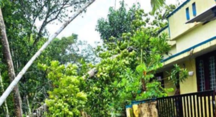 കനത്ത മഴ ; തിരുവല്ലയില് വന് നാശനഷ്ടം കനത്ത മഴ ; തിരുവല്ലയില് വന് നാശനഷ്ടം