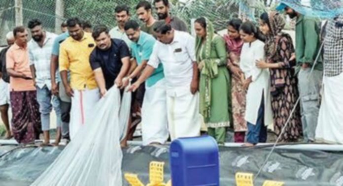 തൃക്കുന്നപ്പുഴയിൽ കൃഷിചെയ്ത വനാമി ചെമ്മീൻ വിളവെടുപ്പ് നടന്നു തൃക്കുന്നപ്പുഴയിൽ കൃഷിചെയ്ത വനാമി ചെമ്മീൻ വിളവെടുപ്പ് നടന്നു