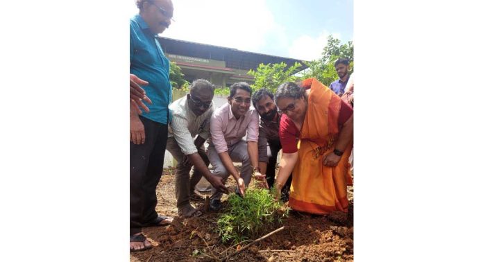 സംസ്കൃത സർവ്വകലാശാലയിൽ പരിസ്ഥിതിദിനം ആചരിച്ചു സംസ്കൃത സർവ്വകലാശാലയിൽ പരിസ്ഥിതിദിനം ആചരിച്ചു