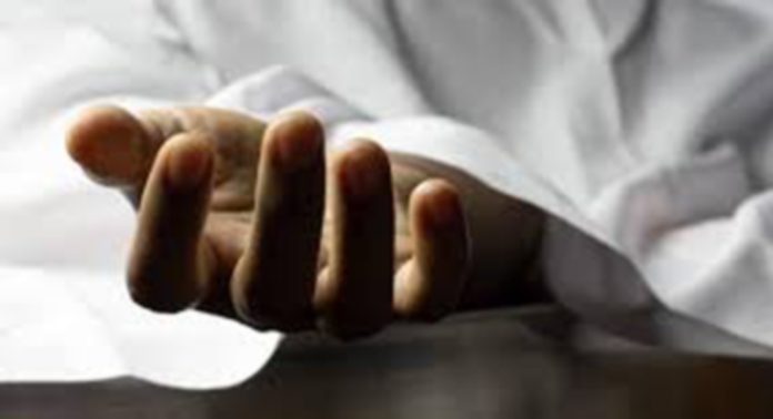 കോഴഞ്ചേരിയില് വൃക്ഷശിഖരം മുറിക്കുന്നതിനിടെ യുവാവ് താഴെ വീണു മരിച്ചു കോഴഞ്ചേരിയില് വൃക്ഷശിഖരം മുറിക്കുന്നതിനിടെ യുവാവ് താഴെ വീണു മരിച്ചു