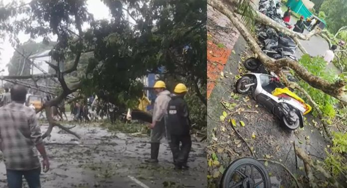 കോട്ടയത്ത് ശക്തമായ കാറ്റിൽ വ്യാപക നാശനഷ്ടം ; ആളപായമില്ല കോട്ടയത്ത് ശക്തമായ കാറ്റിൽ വ്യാപക നാശനഷ്ടം ; ആളപായമില്ല
