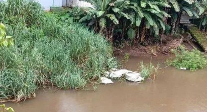 കല്ലിശ്ശേരി ഇറപ്പുഴ ഭാഗത്ത് പമ്പാനദിയിൽ മാലിന്യം തള്ളി കല്ലിശ്ശേരി ഇറപ്പുഴ ഭാഗത്ത് പമ്പാനദിയിൽ മാലിന്യം തള്ളി