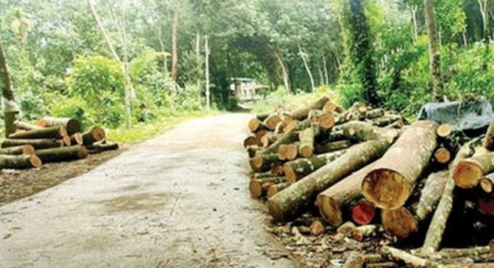 വെട്ടൂർ അമ്പലം ജംഗ്ഷന്-മുട്ടുമൺ റോഡിൽ ഗതാഗതതടസ്സമുണ്ടാക്കി തടികൾ ഇറക്കുന്നു വെട്ടൂർ അമ്പലം ജംഗ്ഷന്-മുട്ടുമൺ റോഡിൽ ഗതാഗതതടസ്സമുണ്ടാക്കി തടികൾ ഇറക്കുന്നു