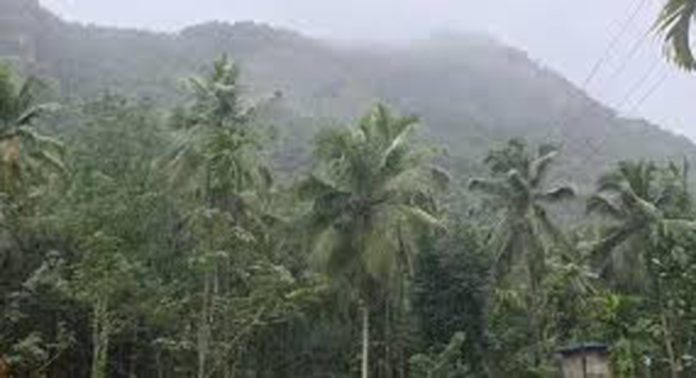 കോഴിക്കോട് താമരശ്ശേരി കട്ടിപ്പാറയില് മലവെള്ളപ്പാച്ചില് ; മണ്ണാത്തിയേറ്റ് മല ഇടിഞ്ഞുവീണു കോഴിക്കോട് താമരശ്ശേരി കട്ടിപ്പാറയില് മലവെള്ളപ്പാച്ചില് ; മണ്ണാത്തിയേറ്റ് മല ഇടിഞ്ഞുവീണു