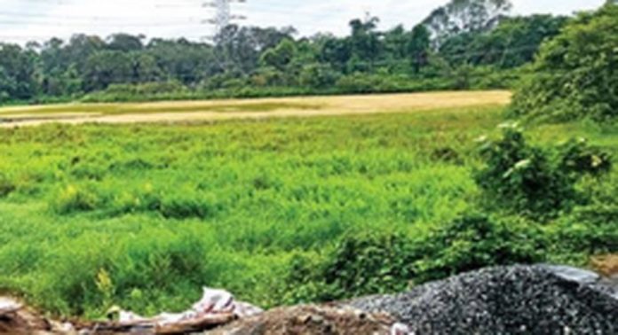 പായൽമൂടി ആറാട്ടുചിറ ; ചിറയുടെ അരികുകളും കാടുകയറി പായൽമൂടി ആറാട്ടുചിറ ; ചിറയുടെ അരികുകളും കാടുകയറി
