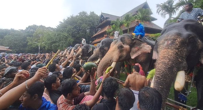 തൃശൂർ വടക്കുംനാഥ ക്ഷേത്രത്തിലെ ആനയൂട്ട് ഇന്ന് തൃശൂർ വടക്കുംനാഥ ക്ഷേത്രത്തിലെ ആനയൂട്ട് ഇന്ന്