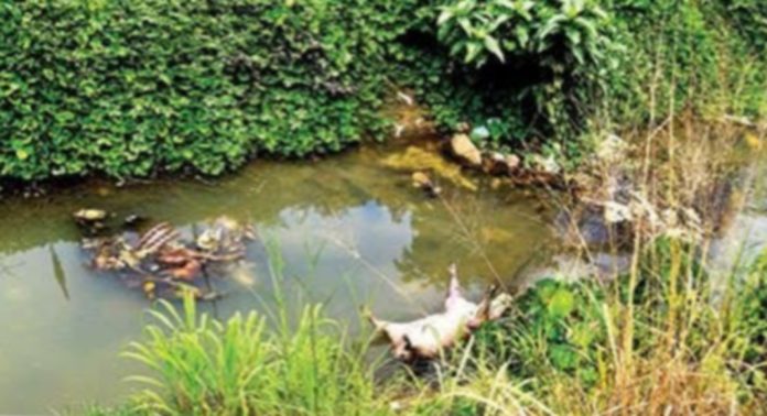 അടൂര് നെല്ലിമൂട്ടിൽപ്പടി- വെള്ളക്കുളങ്ങര കനാലില് മാലിന്യം കെട്ടിക്കിടന്ന് ദുർഗന്ധം വമിക്കുന്നു അടൂര് നെല്ലിമൂട്ടിൽപ്പടി- വെള്ളക്കുളങ്ങര കനാലില് മാലിന്യം കെട്ടിക്കിടന്ന് ദുർഗന്ധം വമിക്കുന്നു