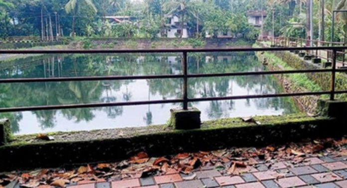 കാടുകയറി ഉപയോഗശൂന്യമായ നിലയില് ആമ്പൽപ്പൂഞ്ചിറ കാടുകയറി ഉപയോഗശൂന്യമായ നിലയില് ആമ്പൽപ്പൂഞ്ചിറ