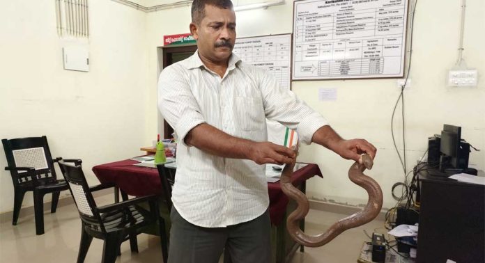 ഇരുതലമൂരിയെ വിൽക്കാൻ ശ്രമം ; റിട്ടയേർഡ് കരസേനാ ഉദ്യോഗസ്ഥൻ പിടിയിൽ ഇരുതലമൂരിയെ വിൽക്കാൻ ശ്രമം ; റിട്ടയേർഡ് കരസേനാ ഉദ്യോഗസ്ഥൻ പിടിയിൽ