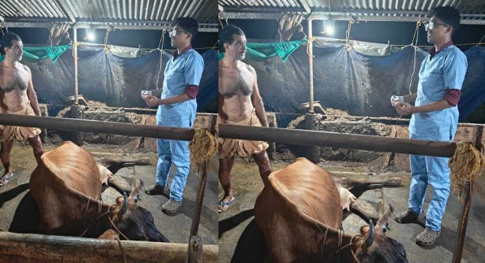 വാതില്പ്പടിയില് സേവനം ; ഒമ്പത് വര്ഷത്തിനിടെ ജില്ലയില് 3.50 കോടി രൂപയുടെ സഹായവുമായി മൃഗസംരക്ഷണ വകുപ്പ് വാതില്പ്പടിയില് സേവനം ; ഒമ്പത് വര്ഷത്തിനിടെ ജില്ലയില് 3.50 കോടി രൂപയുടെ സഹായവുമായി മൃഗസംരക്ഷണ വകുപ്പ്