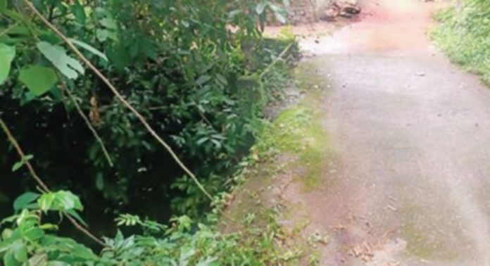 വള്ളിക്കോട് കൈവരികൾ തകർന്ന് അപകടഭീഷണി ഉയർത്തി മാളിയേക്കൽ പാലം വള്ളിക്കോട് കൈവരികൾ തകർന്ന് അപകടഭീഷണി ഉയർത്തി മാളിയേക്കൽ പാലം
