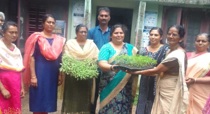 കോന്നി ഗ്രാമപഞ്ചായത്തിൽ ‘പുഷ്പകൃഷി’ ; തൈ വിതരണ ഉത്ഘാടനം നടത്തി കോന്നി ഗ്രാമപഞ്ചായത്തിൽ ‘പുഷ്പകൃഷി’ ; തൈ വിതരണ ഉത്ഘാടനം നടത്തി