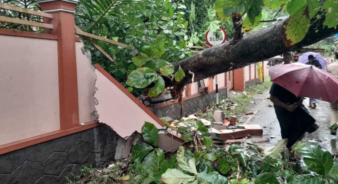 കോന്നിയിൽ ശക്തമായ കാറ്റിലും മഴയിലും വ്യാപക നാശനഷ്ടം കോന്നിയിൽ ശക്തമായ കാറ്റിലും മഴയിലും വ്യാപക നാശനഷ്ടം