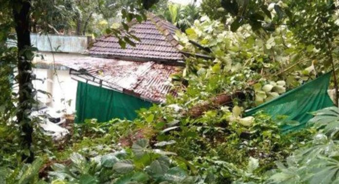 ചെങ്ങന്നൂർ തിട്ടമേൽ കരിങ്ങാട്ടിൽ മരം വീണ് വീടിന് നാശം ചെങ്ങന്നൂർ തിട്ടമേൽ കരിങ്ങാട്ടിൽ മരം വീണ് വീടിന് നാശം