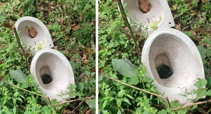 ഹരിതകര്മ്മ സേനക്ക് പ്ലാസ്റ്റിക്കും മാസപ്പിരിവും മതി ; പൊട്ടിയ ക്ലോസെറ്റും പഴന്തുണിയും ഇപ്പോഴും പാതയോരത്ത് ഹരിതകര്മ്മ സേനക്ക് പ്ലാസ്റ്റിക്കും മാസപ്പിരിവും മതി ; പൊട്ടിയ ക്ലോസെറ്റും പഴന്തുണിയും ഇപ്പോഴും പാതയോരത്ത്