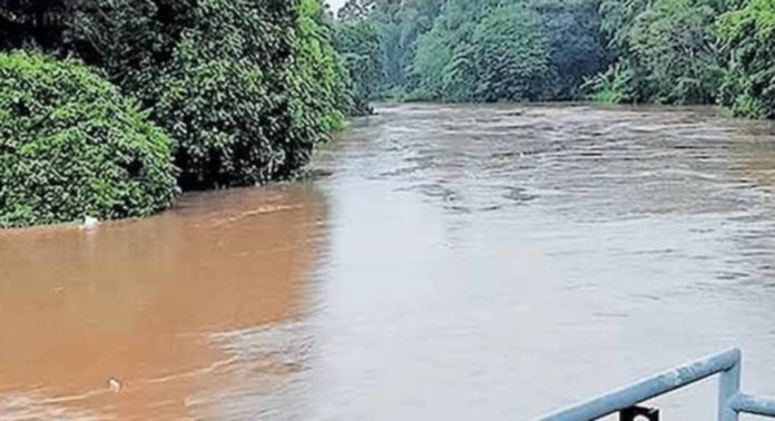 അച്ചൻകോവിലാറ്റിൽ ജലനിരപ്പ് ഗണ്യമായി ഉയർന്നതോടെ പടിഞ്ഞാറൻ മേഖലയിൽ വീണ്ടും ആശങ്ക അച്ചൻകോവിലാറ്റിൽ ജലനിരപ്പ് ഗണ്യമായി ഉയർന്നതോടെ പടിഞ്ഞാറൻ മേഖലയിൽ വീണ്ടും ആശങ്ക