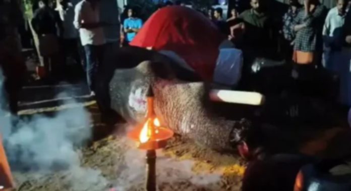 ഓമല്ലൂർ മണികണ്ഠനോട് ദേവസ്വം ബോർഡ് അവഗണന കാട്ടിയെന്ന് പരാതി ഓമല്ലൂർ മണികണ്ഠനോട് ദേവസ്വം ബോർഡ് അവഗണന കാട്ടിയെന്ന് പരാതി