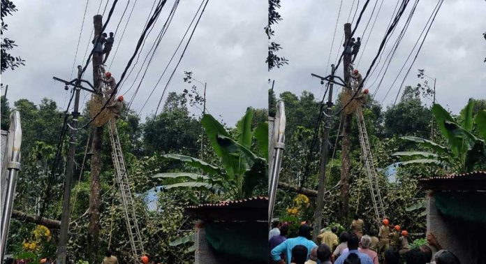 അത്തിക്കയത്ത് മരം മുറിക്കുന്നത്തിനിടയിൽ മരത്തിൽ കുടുങ്ങിയ തൊഴിലാളിയെ അഗ്നിശമന സേനാംഗങ്ങളെത്തി രക്ഷപ്പെടുത്തി അത്തിക്കയത്ത് മരം മുറിക്കുന്നത്തിനിടയിൽ മരത്തിൽ കുടുങ്ങിയ തൊഴിലാളിയെ അഗ്നിശമന സേനാംഗങ്ങളെത്തി രക്ഷപ്പെടുത്തി