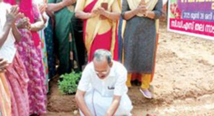 ഓമല്ലൂർ പഞ്ചായത്തില് ബന്ദിപ്പൂവ് കൃഷി ആരംഭിച്ചു ഓമല്ലൂർ പഞ്ചായത്തില് ബന്ദിപ്പൂവ് കൃഷി ആരംഭിച്ചു